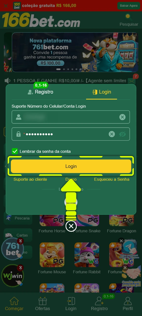 Confirme as informações inseridas para validar seu login na 166bet.