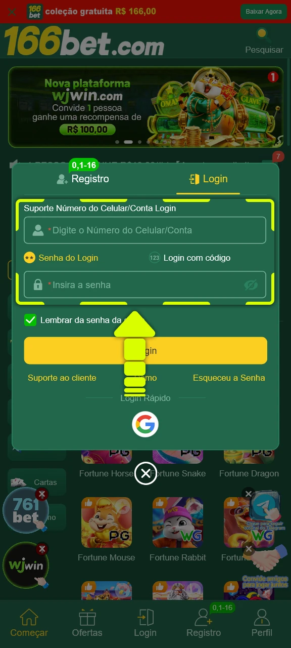 Digite seus dados de acesso para concluir o login na 166bet.