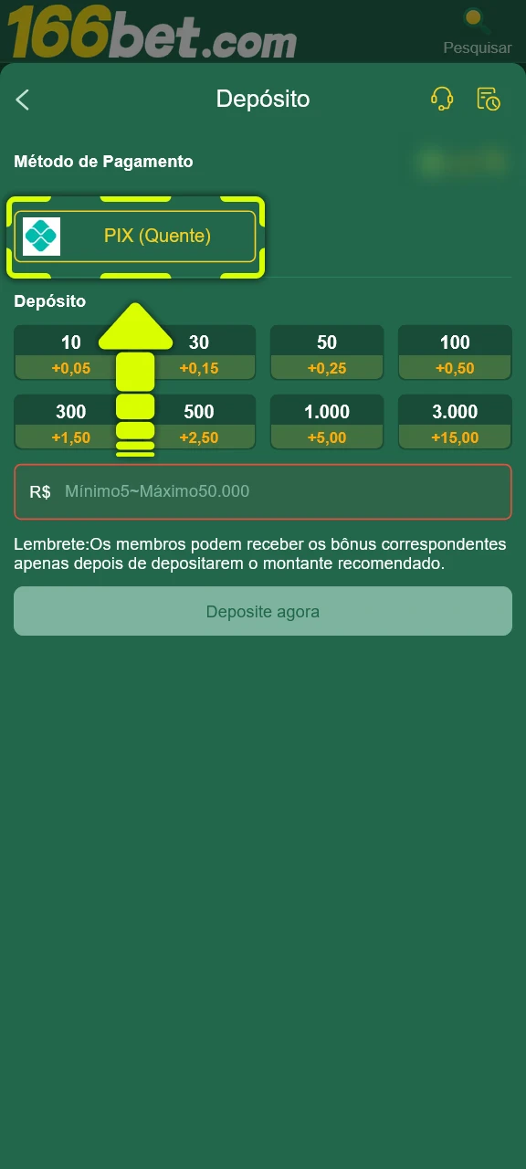 Selecione o seu método de depósito preferido na plataforma 166bet.