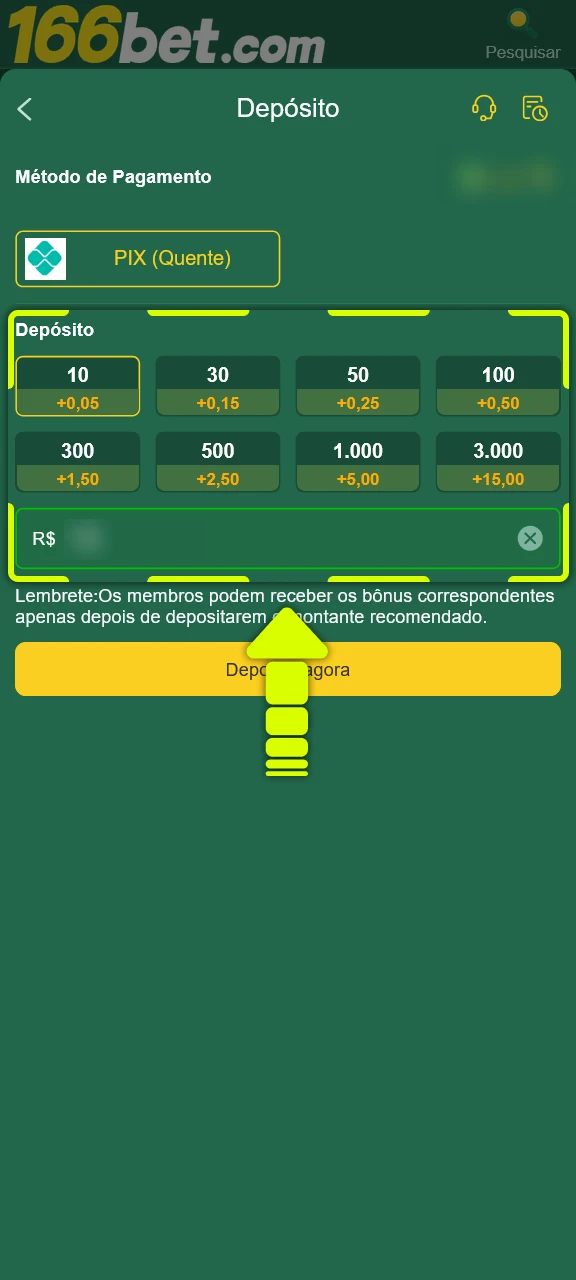 Digite a quantia que deseja enviar para o depósito na 166bet.